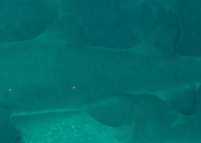 935e30a9-03ad-46ba-8c2b-fcbecbe7e417