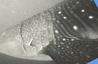 559d0ec0-3834-46db-b51a-c7da70e9cdf6