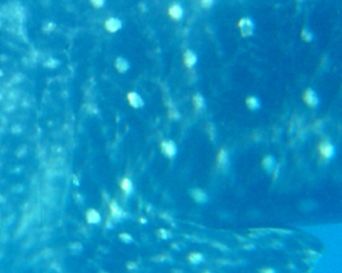 97204182-4a13-48e4-b4a5-46abd92ea233