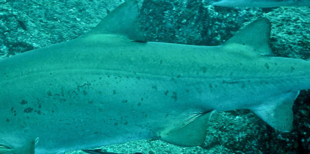 04fcf6d5-049d-4ce1-88d5-06d50bc1a637