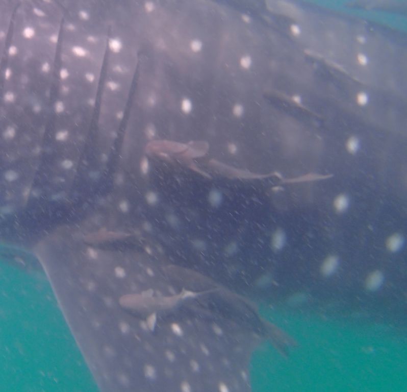 793070f2-6693-457e-8cf5-415b21cd90a3