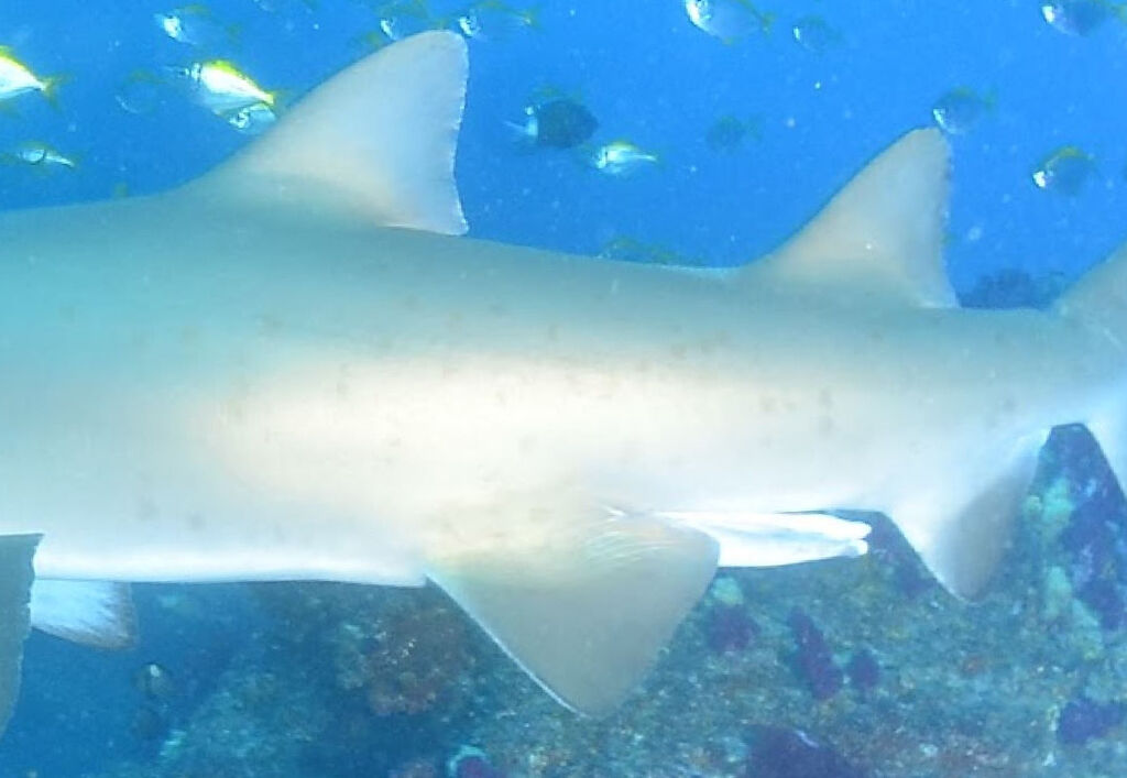 dcfd9883-fffd-41ca-8612-9e57df884228