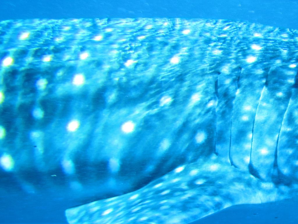 c7fff2c2-f1dd-472a-8c9a-6e3d9725b768