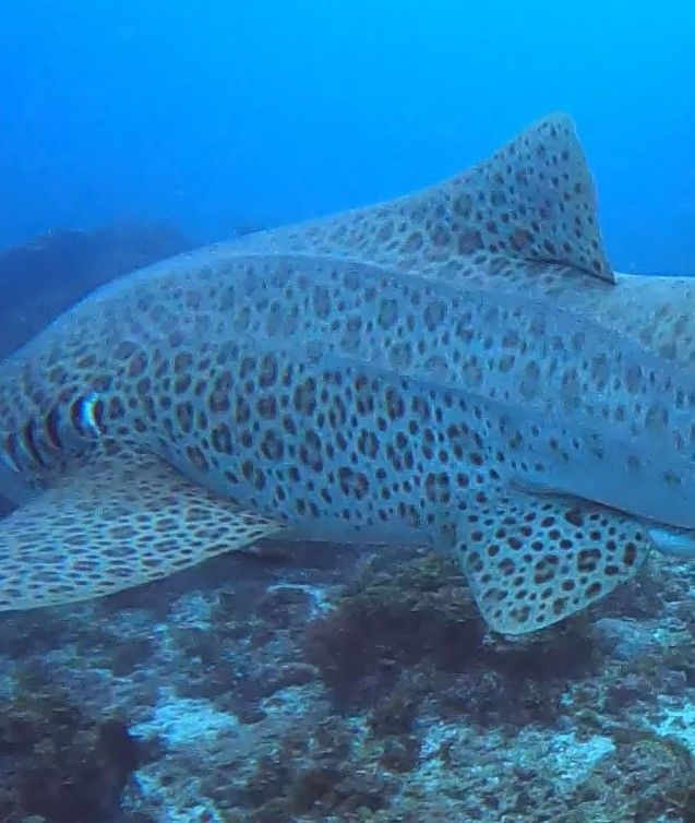 47e017f8-3f03-470b-a81c-cb28c6f390e8