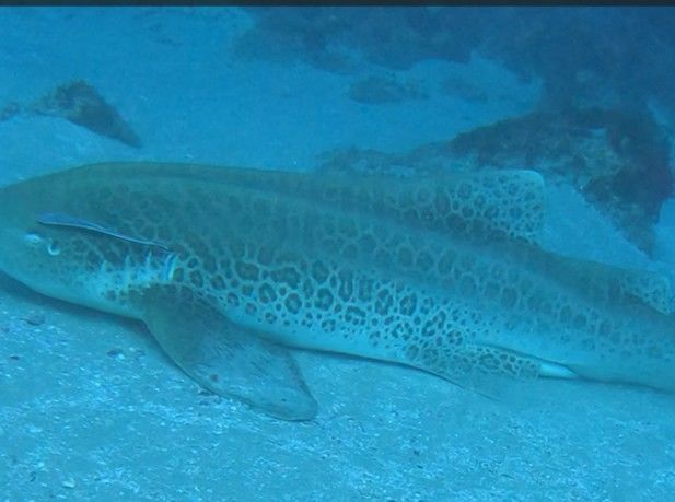 c91419c8-9001-436e-9e49-48d96167deba