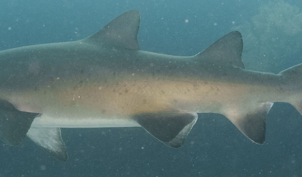 cb394136-9484-4a8d-80df-e87a6e73e6e9