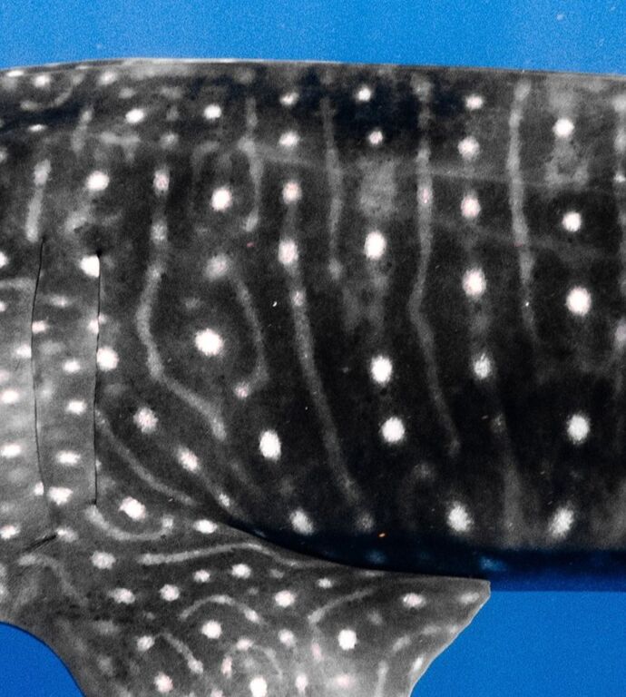 e413f320-4ef5-4a30-836f-c0f1ffda23cb