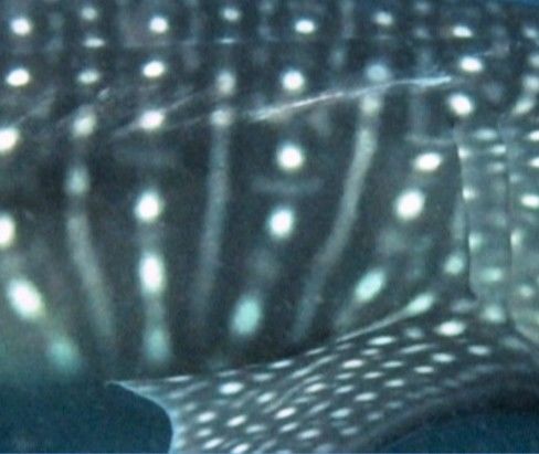 6b18189c-f7d1-4f16-b0a4-6671aed10c96