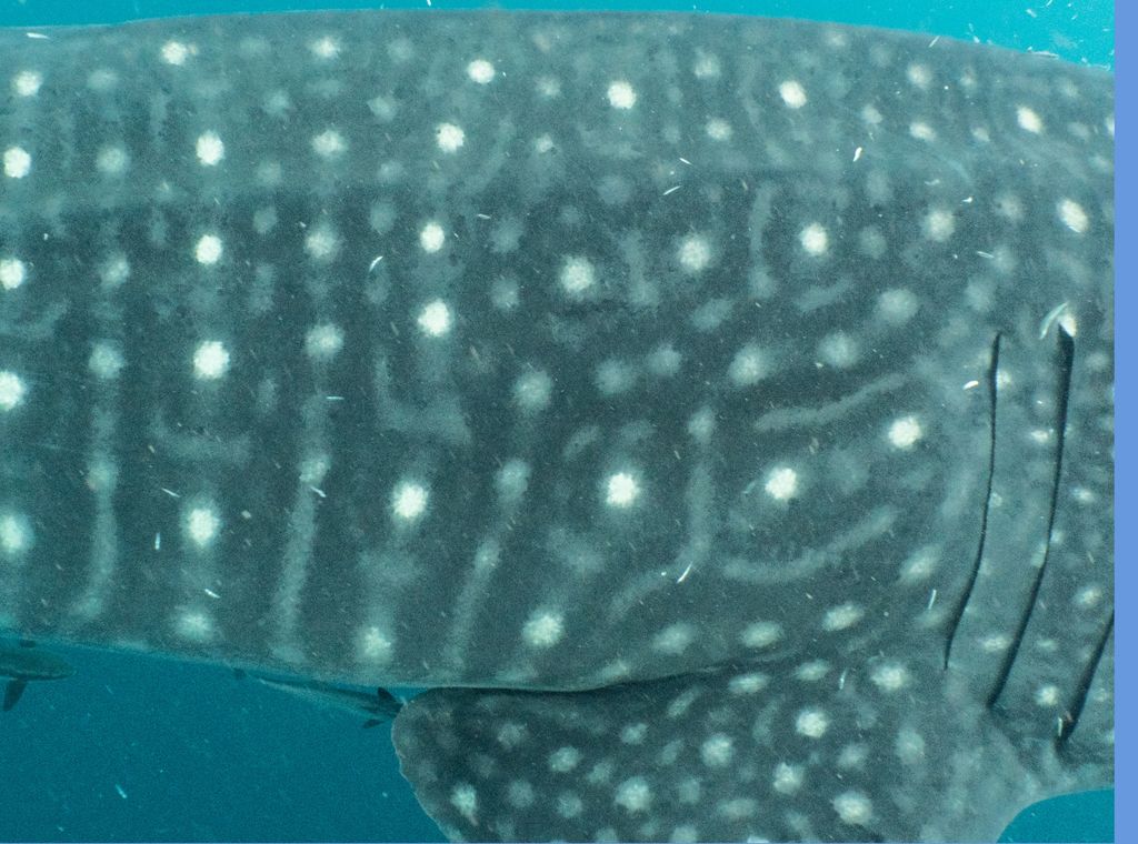 e86bca07-2ac6-4545-b0d5-b4ad01a0906e