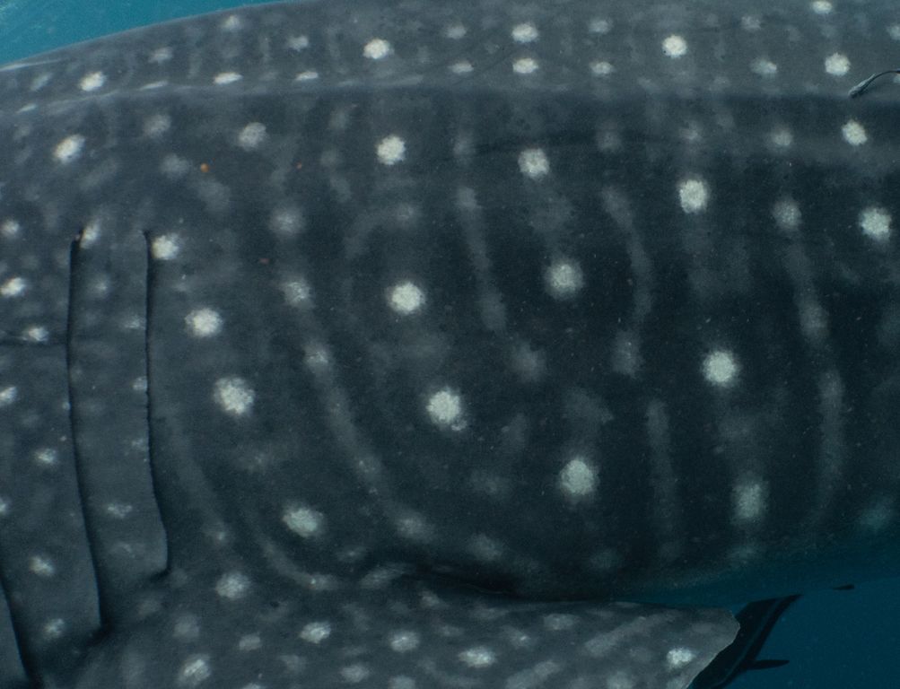 e86bca07-2ac6-4545-b0d5-b4ad01a0906e