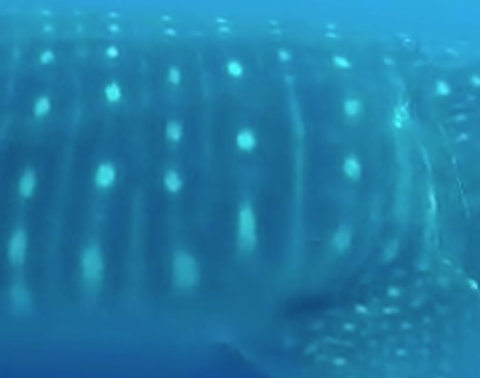 98fe535f-f9b3-4f7a-91fa-2148fc8a105e