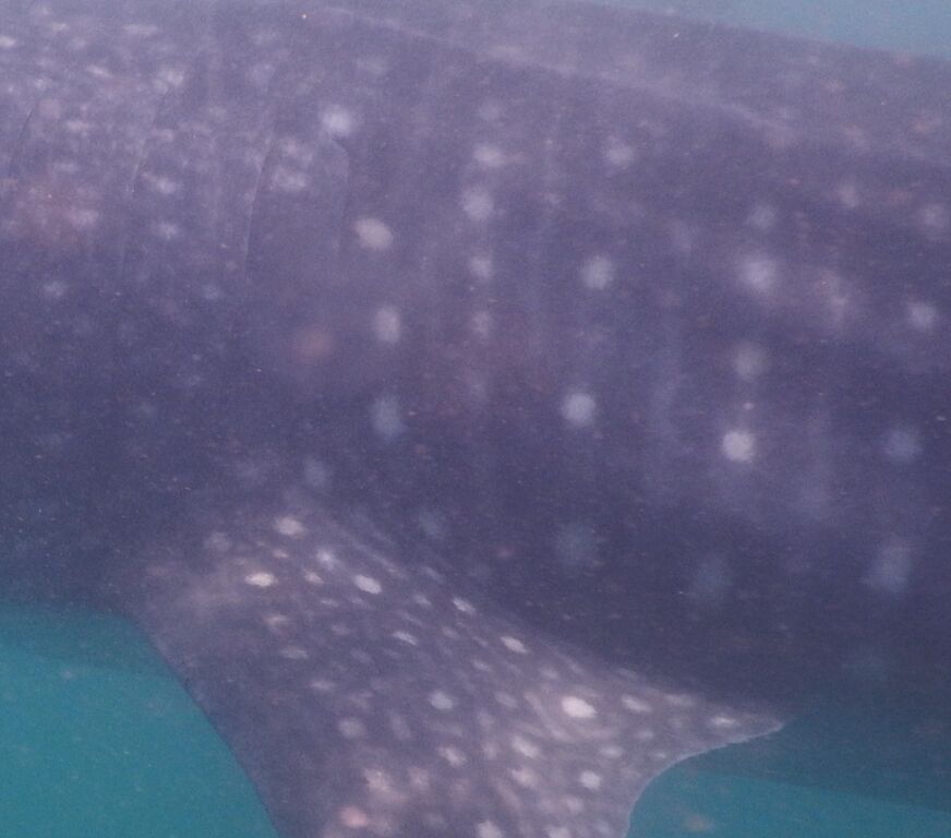 bb8018b6-02b1-43f5-8462-446efd215341