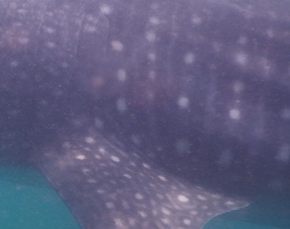 bb8018b6-02b1-43f5-8462-446efd215341