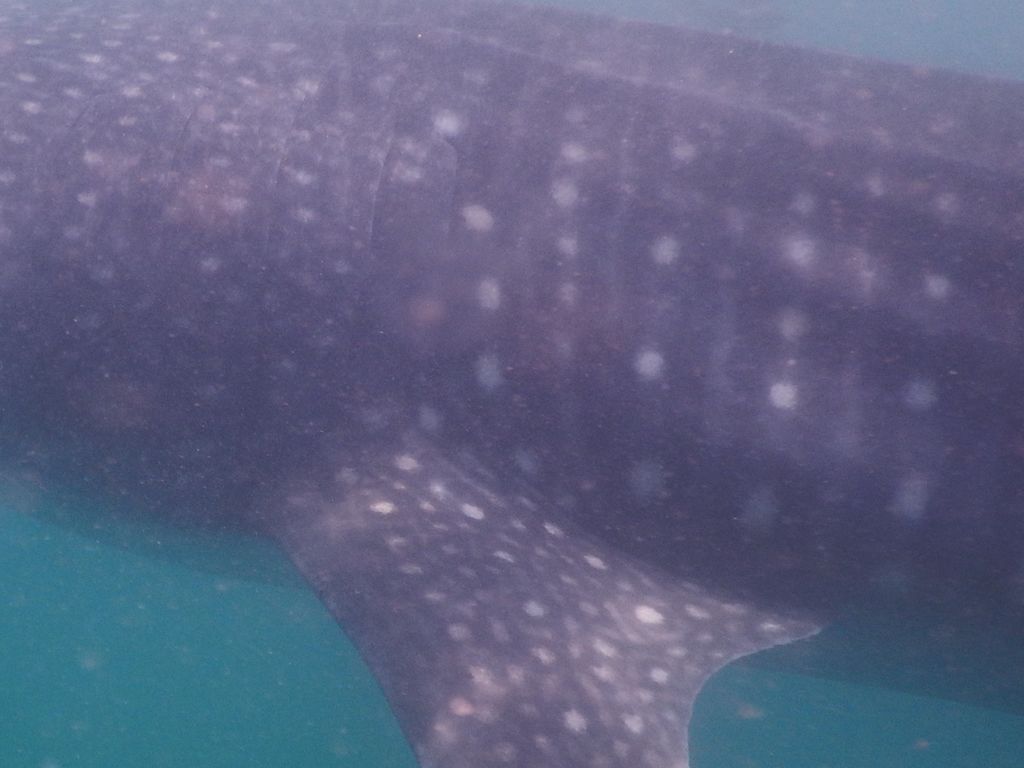 bb8018b6-02b1-43f5-8462-446efd215341