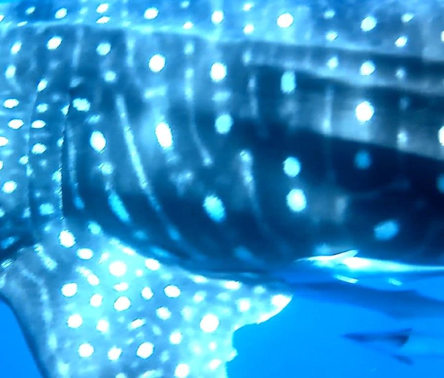 b30e2675-b91c-4ebf-a2da-928ba4c60ad4