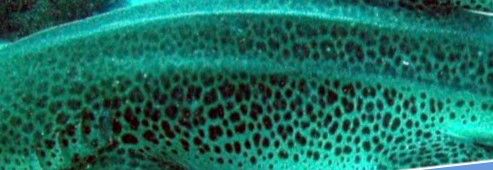 d12f794c-b008-425b-b337-8e413d6c4ad2