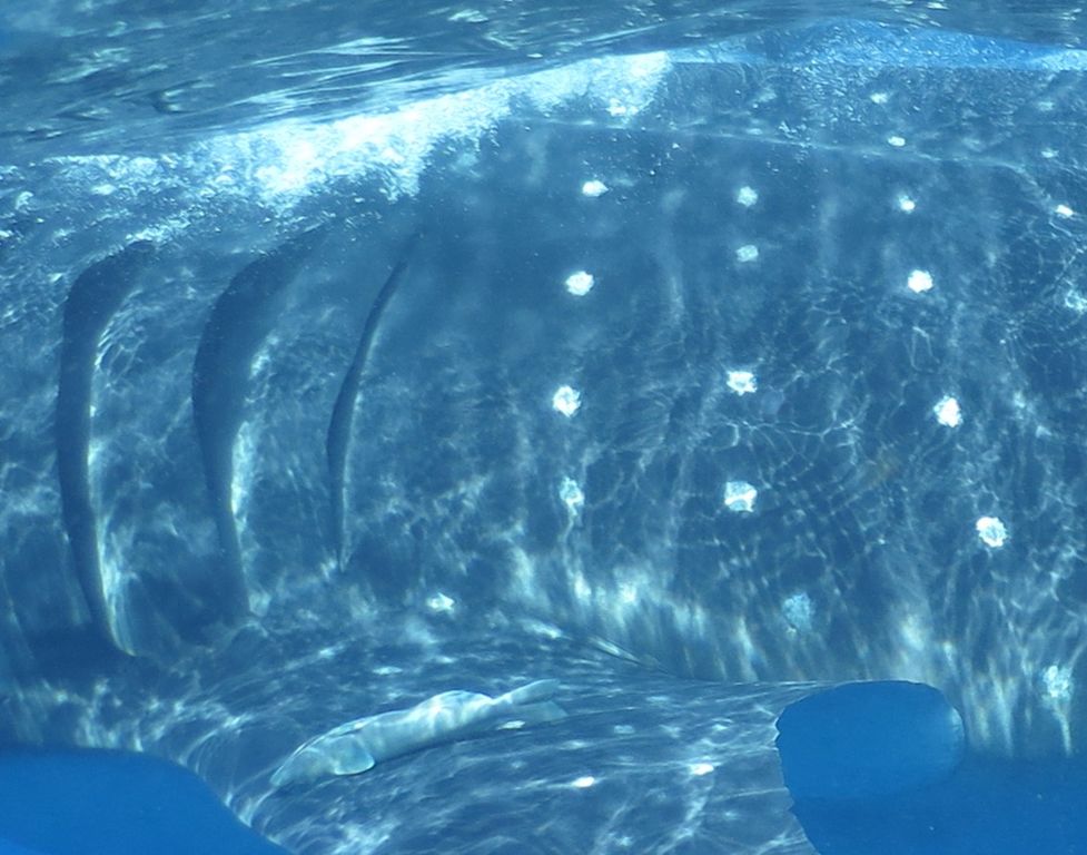 2f9be34c-b4f4-4e8f-953a-bf4c7e665c9d