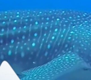 c1ccbd7e-b8ed-4cfc-a86d-014573f303c3