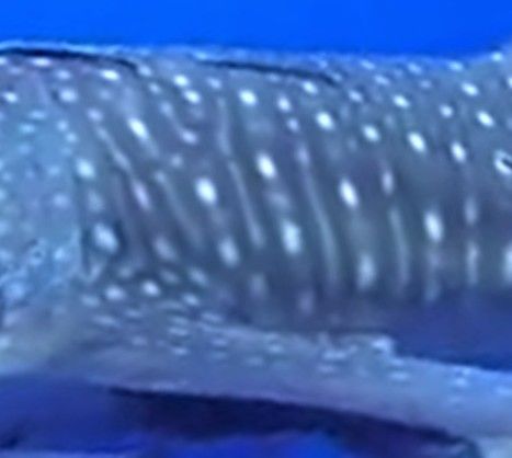 c1ccbd7e-b8ed-4cfc-a86d-014573f303c3