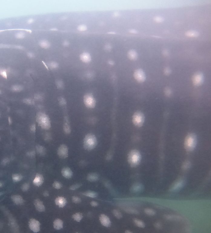 150e14f3-7322-4c8f-9a45-994bee4369c2