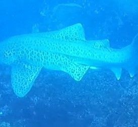 0d820d57-b88f-417d-851f-89fdb598a30c