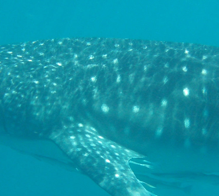 72aff6ab-e983-4086-a2fe-27e81d4364a8