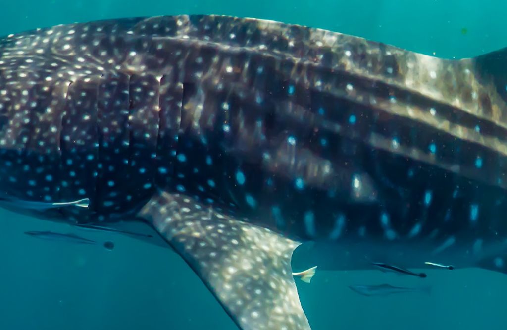 70561331-367b-4416-b67f-3684baf0b667