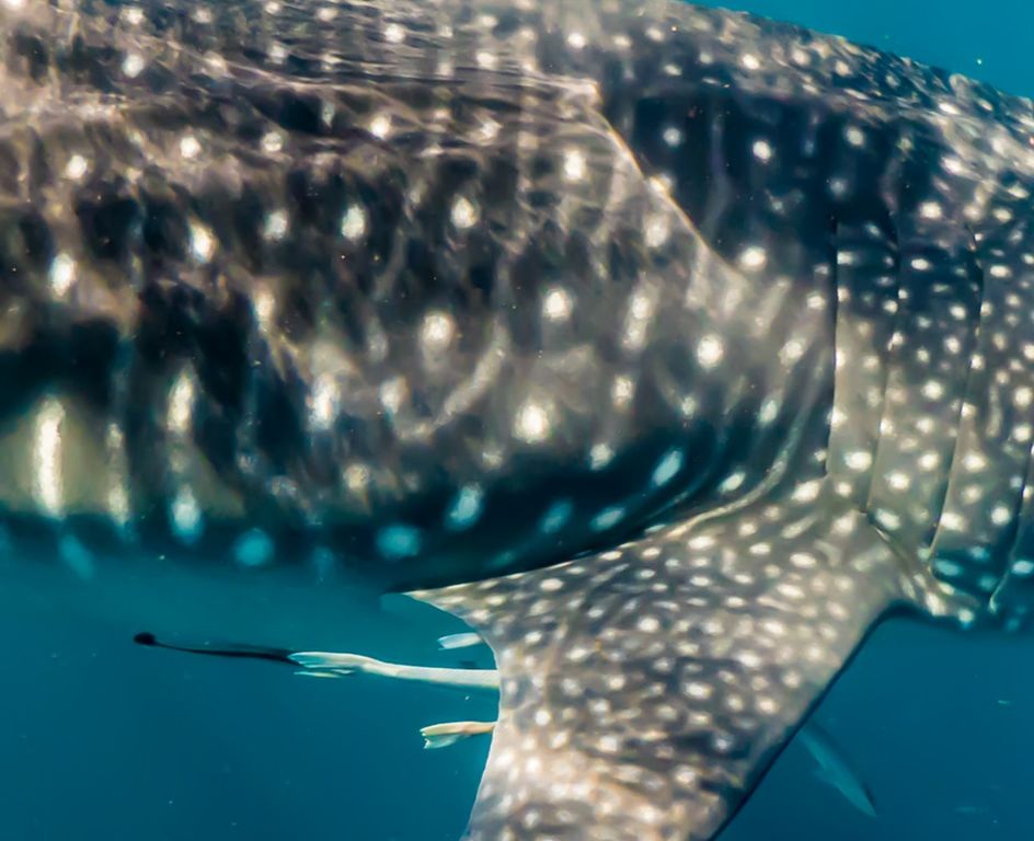 70561331-367b-4416-b67f-3684baf0b667