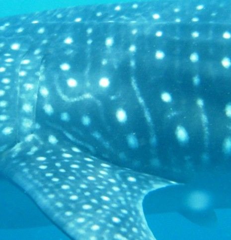 f19c9fce-7182-44cb-8db2-cb5695bb7ab7