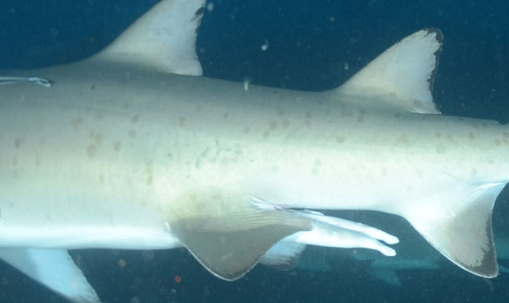 b2e73f33-0dd4-4ee8-a251-0b2034368410