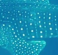 6b248d9d-ae21-4646-a7fb-be88659a214d