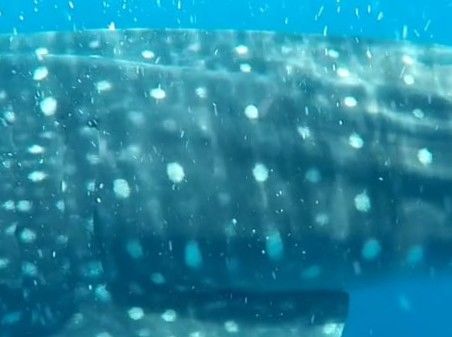 93cd03bf-fe73-4fba-bb62-fc5d3bb32d93