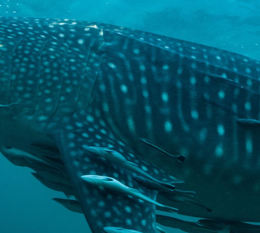 968c3033-80b4-4435-9688-f2cfcc9b7f9b