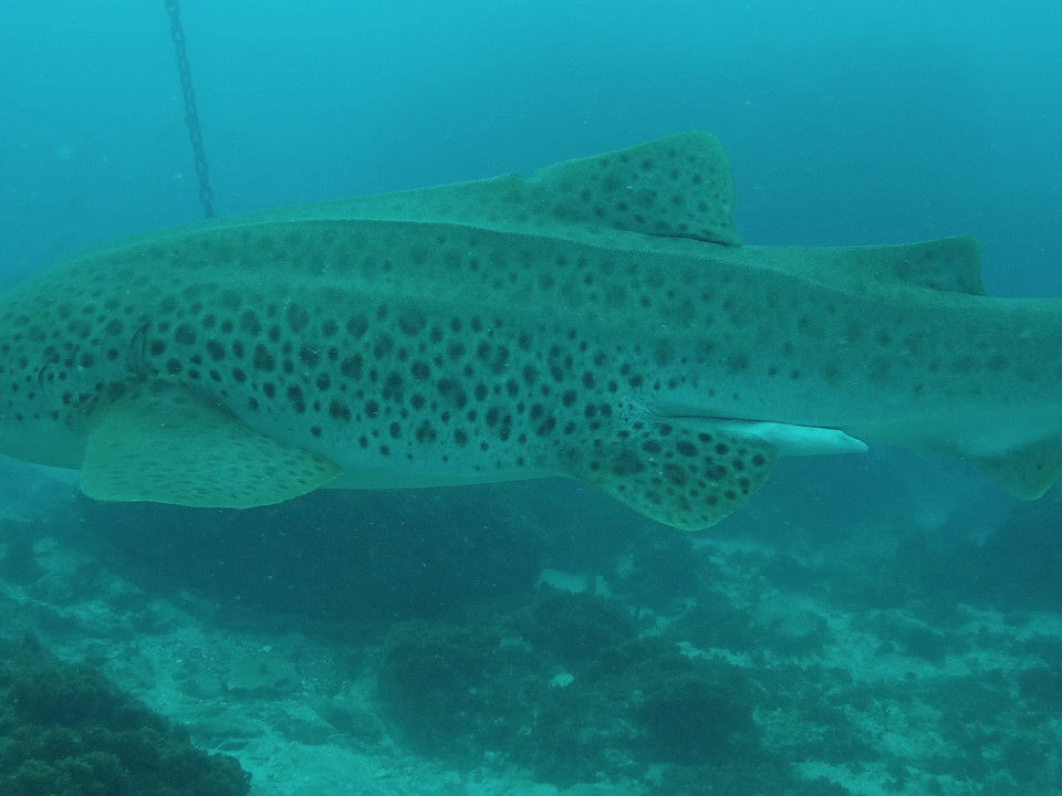 631bb9ca-fb56-458c-aba3-a0fedc1919dc