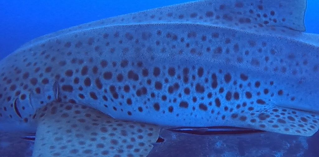 6df2ed2a-aafe-41fa-b6f7-92c6b6c54462