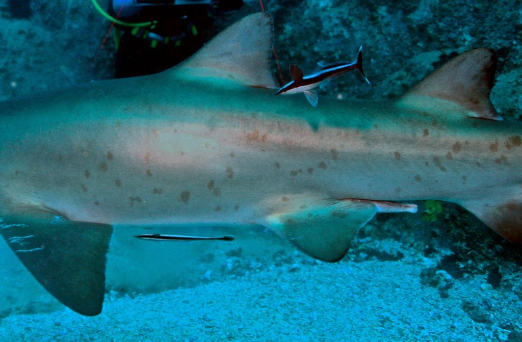 4ff8a659-a489-4e30-9f9b-e468b289311c