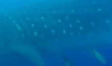 c6a951aa-b0a3-43b1-b553-38a30a21625a