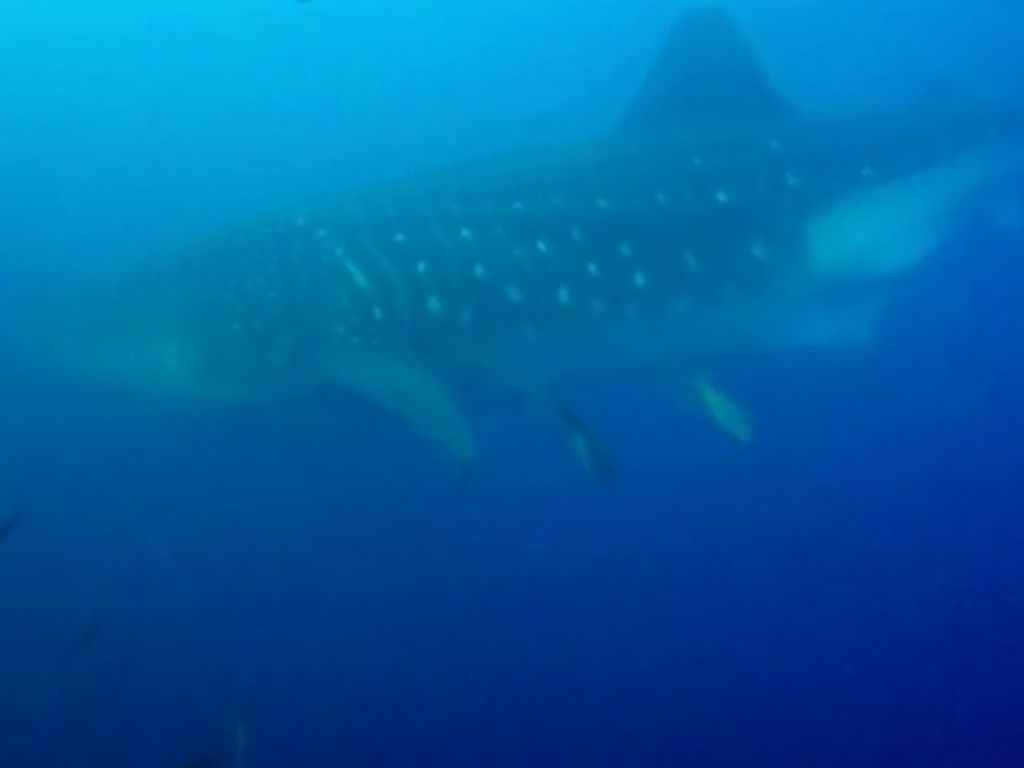 c6a951aa-b0a3-43b1-b553-38a30a21625a