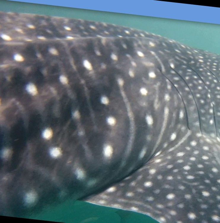 6de99128-dd31-4962-8ef5-13e53034e79f