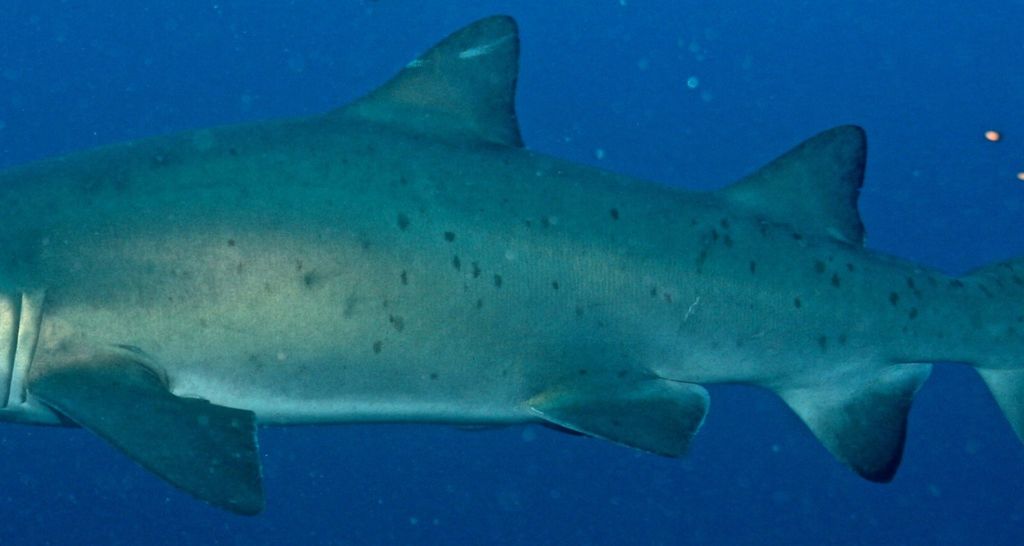 2fd791c0-9c26-44e3-b6cb-3ec02d51b928