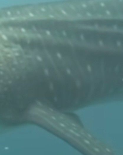 2c5af597-5ff2-401e-bec1-02e68ffdd25d