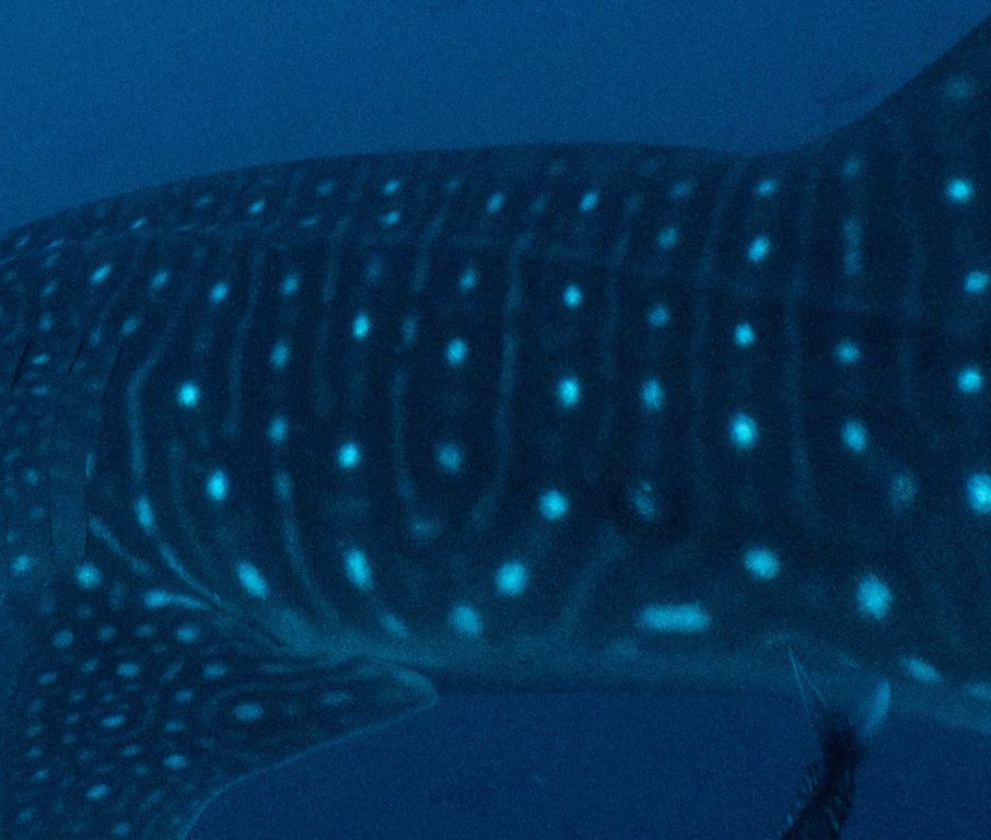 404c688f-5dd3-47d3-be87-c1f0f80ccb31