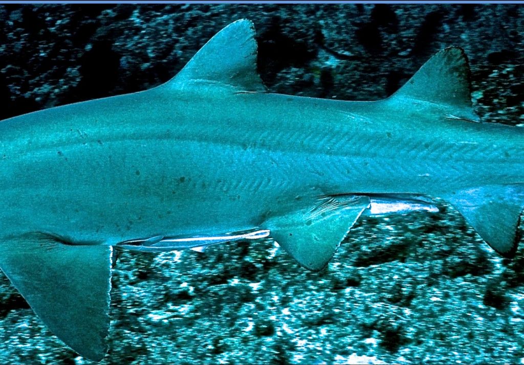 c54f87d4-03d0-4f51-92dc-da2c76e70be7