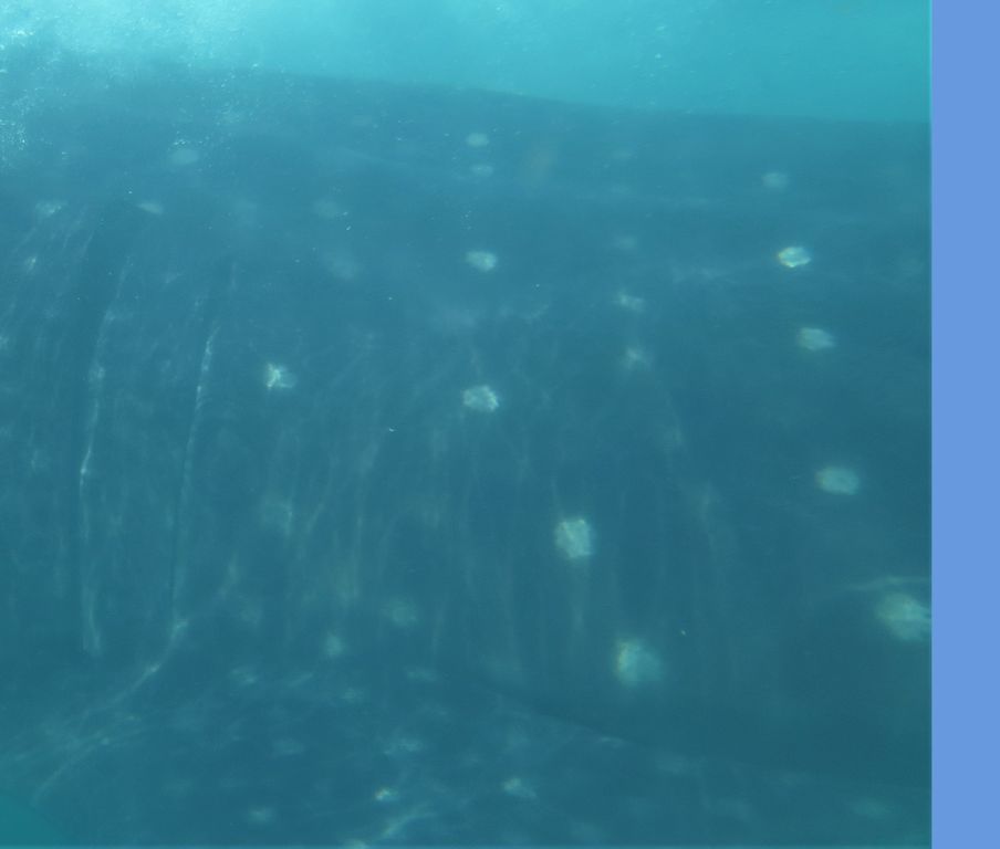 9286eb4e-9233-4c3e-849f-17e5b8243cd5