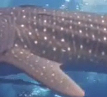 f9f3ffd0-ea9b-4002-8c83-c97297b89db9