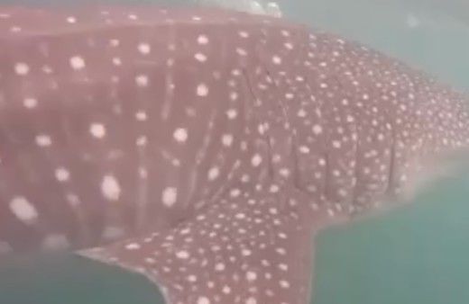 63f04e11-b78b-4088-8475-8e605183ee3e