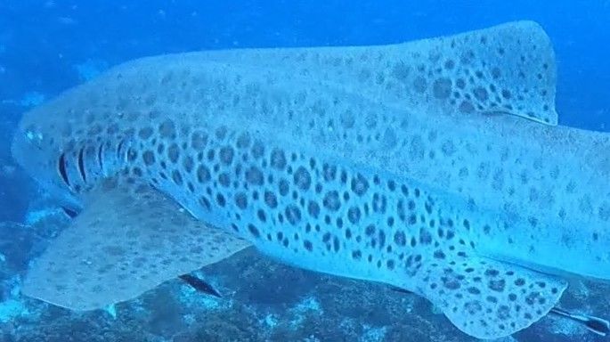 b5449b48-6042-4655-a1b7-74cb8280e2a5