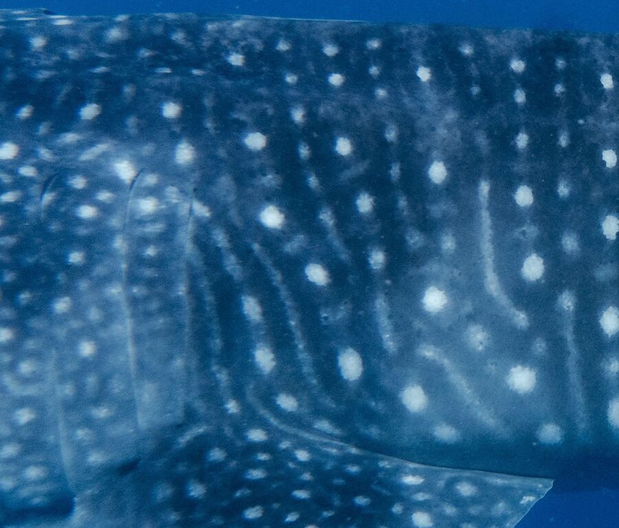 3d53132d-00e1-41da-ac9e-1096da0b87ed