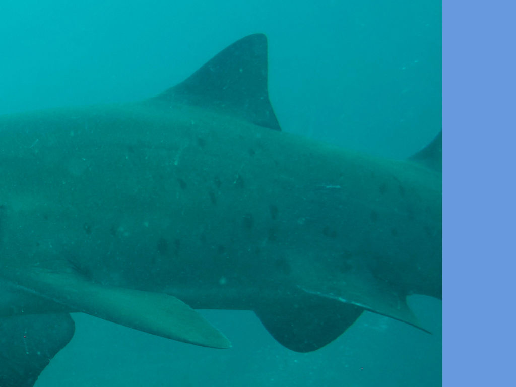 9fe1aba2-0088-4e3d-9ac4-88bd0d54c806