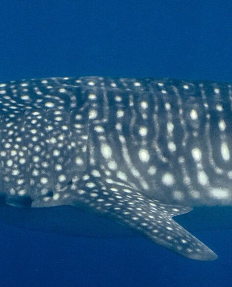 ecefd792-1c7a-4d92-9cae-6b6eb7147085